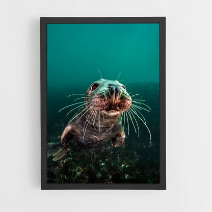 ap-brian skerry-1 cadre Noir