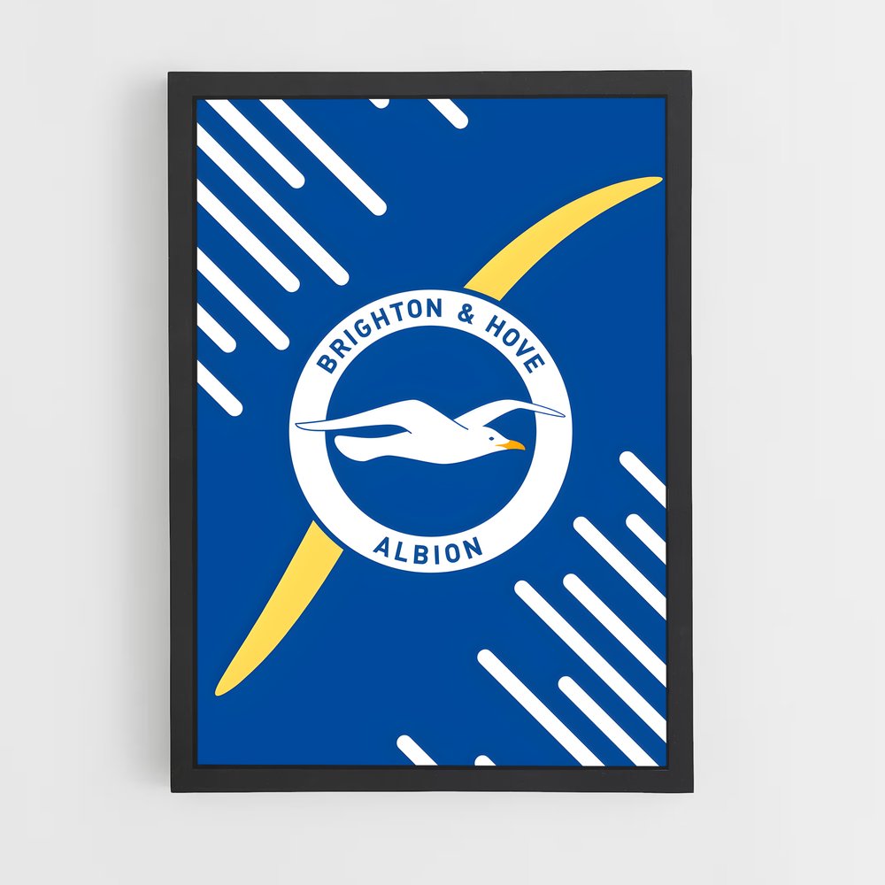 ap-brighton hove albion fc-11 cadre Noir