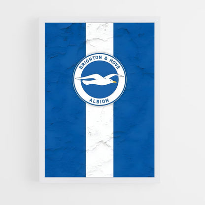 ap-brighton hove albion fc-8 cadre Blanc