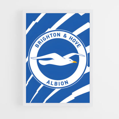 ap-brighton hove albion fc-9 cadre Blanc