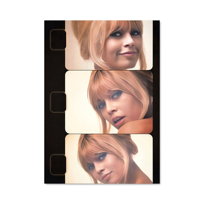 Poster Brigitte Éternelle