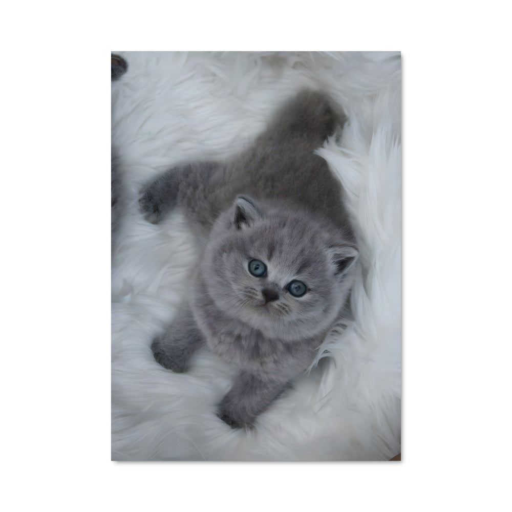 Poster Douceur Britannique