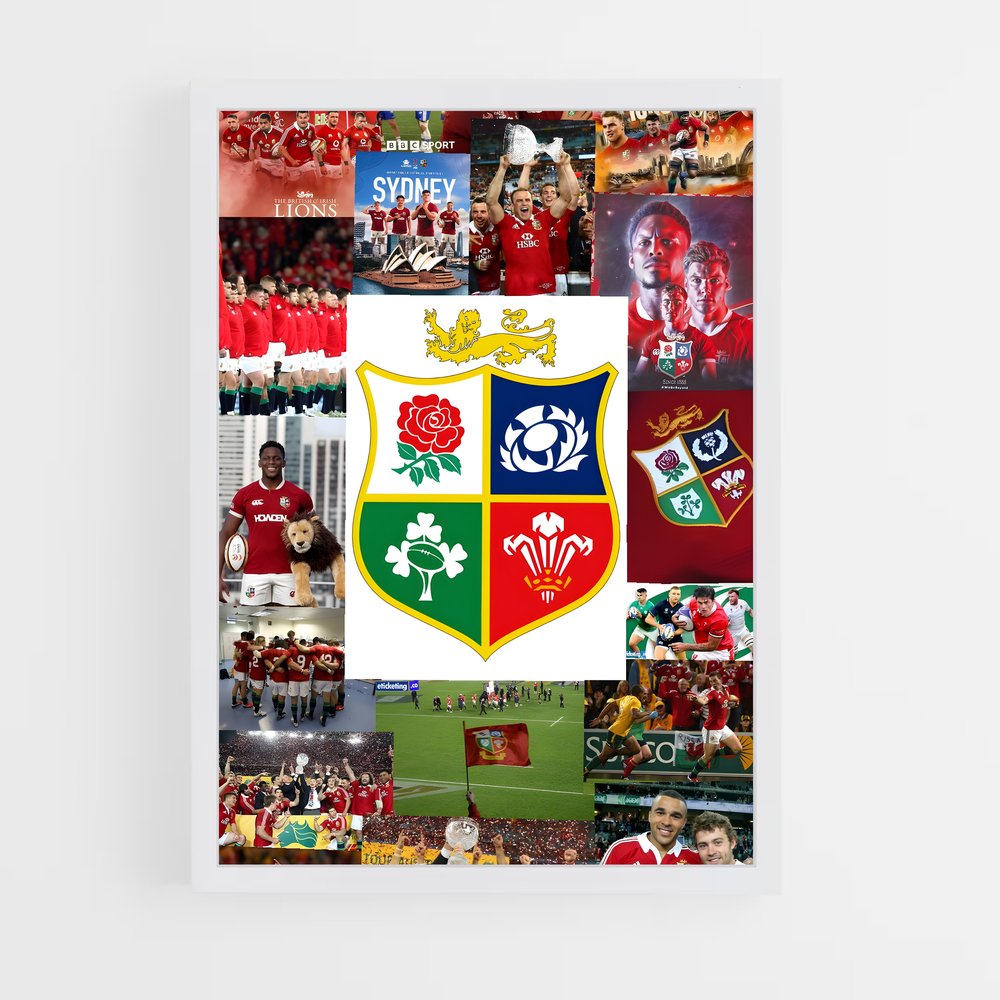ap-british and irish lions-2 cadre Blanc