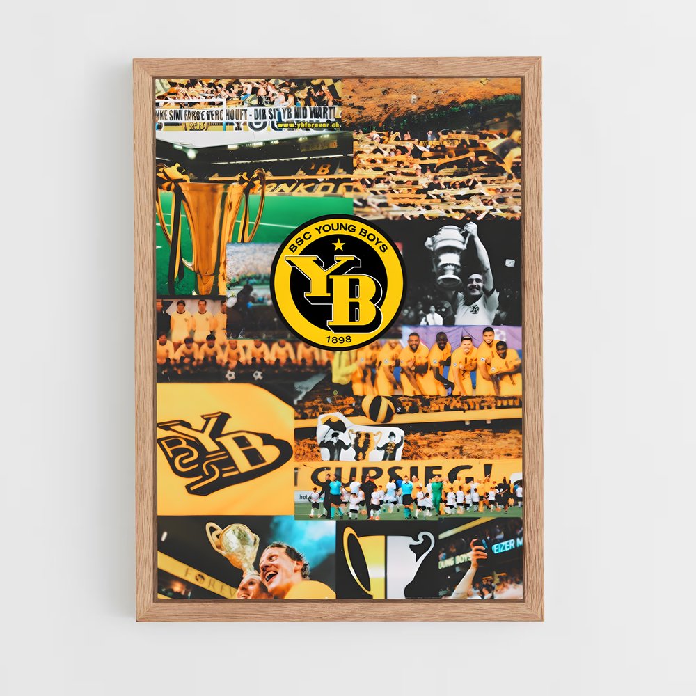 ap-bsc young boys-2 cadre Bois clair