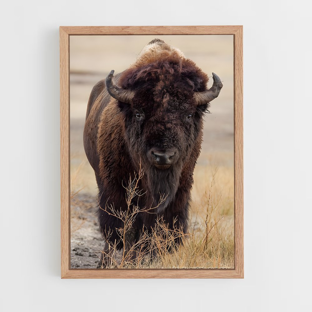 ap-buffalo-16 cadre Bois clair