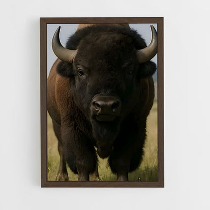 ap-buffalo-17 cadre Bois foncé