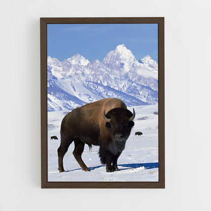 ap-buffalo-20 cadre Bois foncé