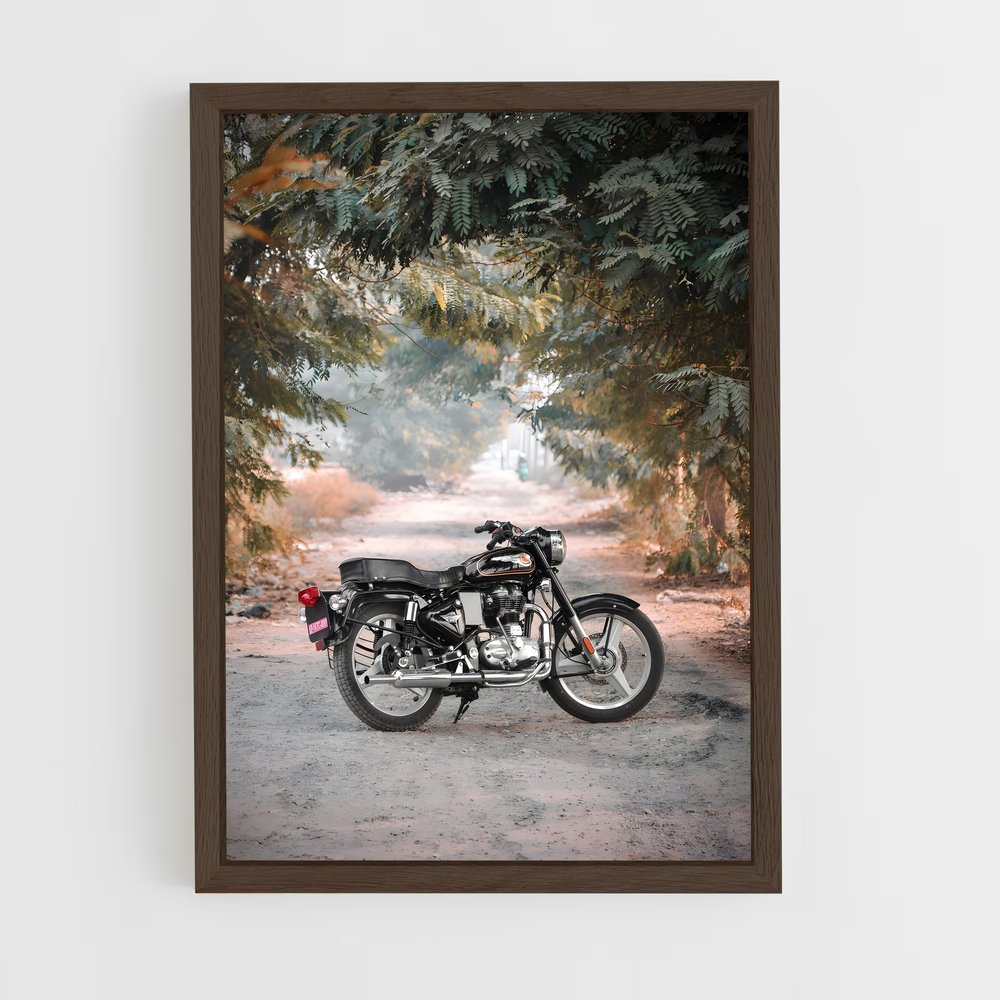 ap-bullet 350-15 cadre Bois foncé