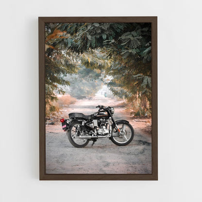 ap-bullet 350-15 cadre Bois foncé