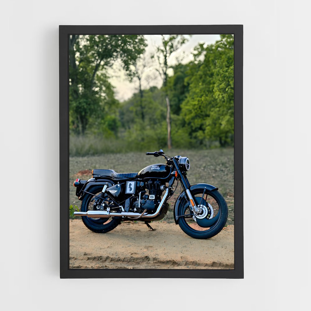 ap-bullet 350-3 cadre Noir