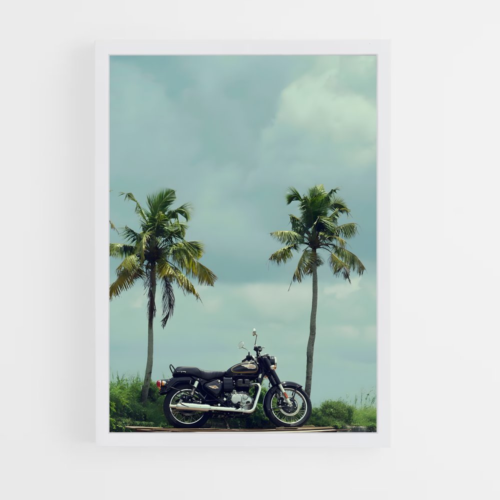 ap-bullet 350-8 cadre Blanc