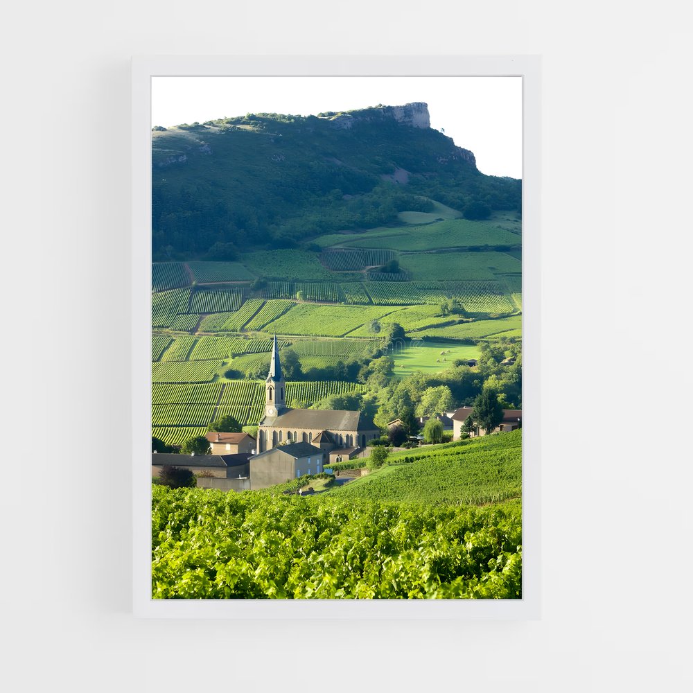 ap-burgundy vineyards-1 cadre Blanc