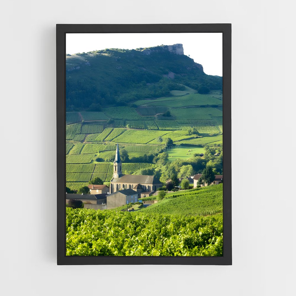 ap-burgundy vineyards-1 cadre Noir
