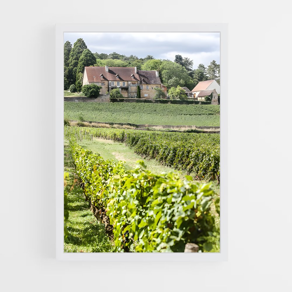 ap-burgundy vineyards-2 cadre Blanc
