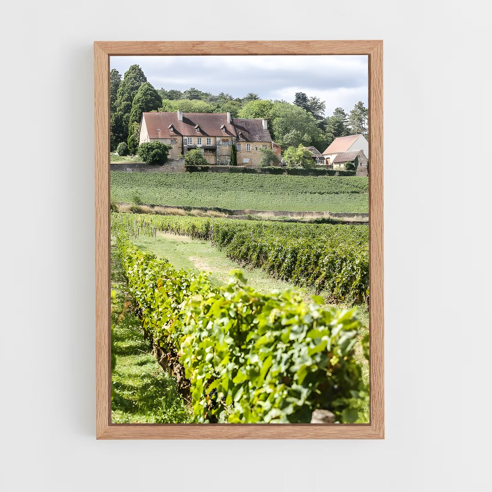 ap-burgundy vineyards-2 cadre Bois clair
