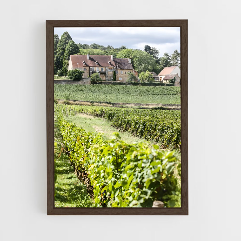ap-burgundy vineyards-2 cadre Bois foncé