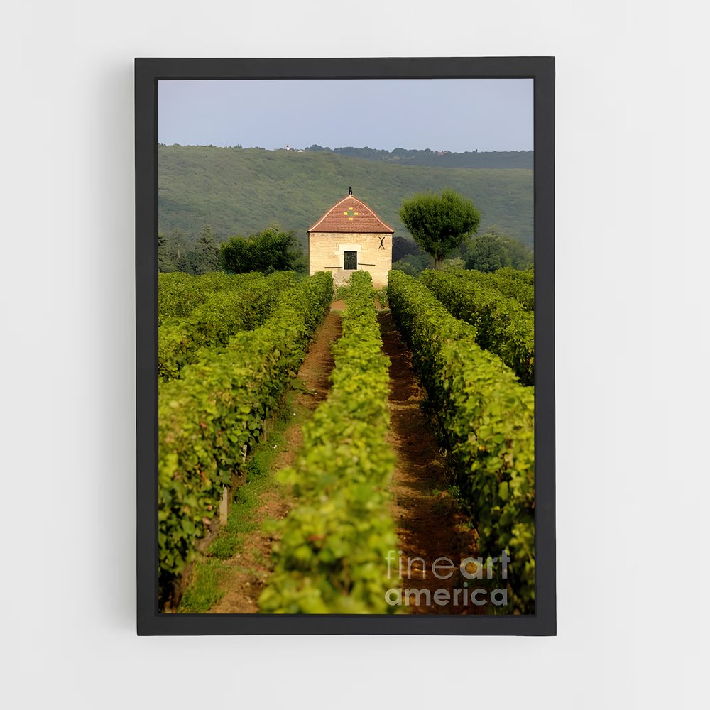 ap-burgundy vineyards-3 cadre Noir