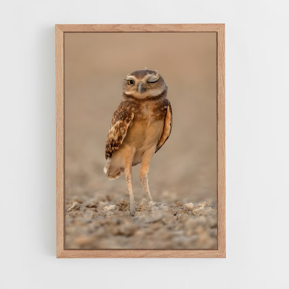 ap-burrowing owl-2 cadre Bois clair