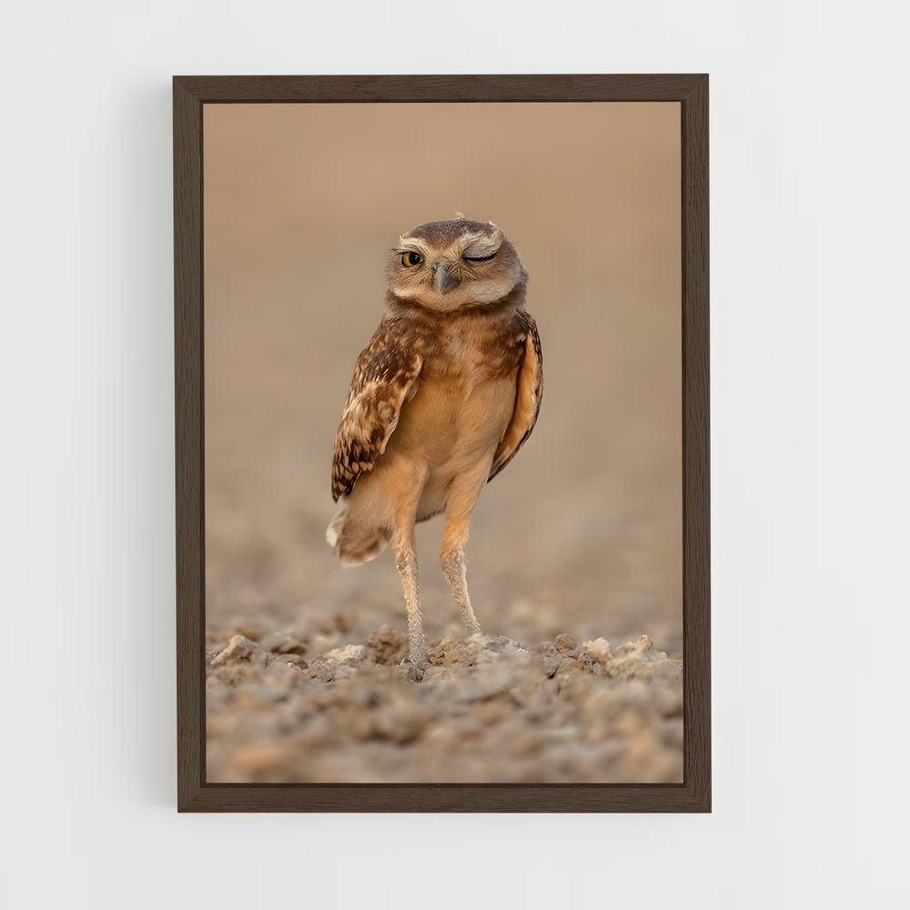 ap-burrowing owl-2 cadre Bois foncé
