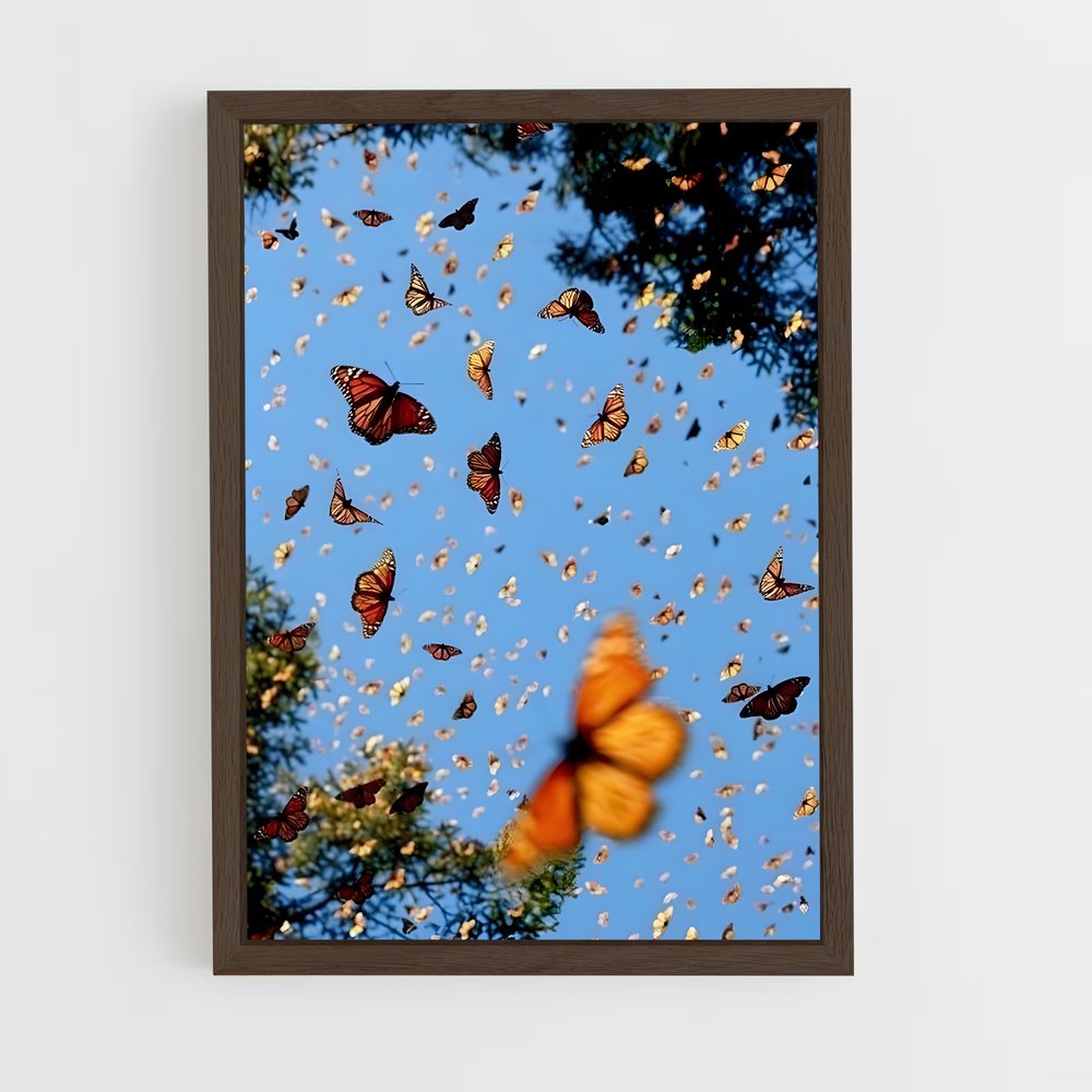 ap-butterfly-15 cadre Bois foncé