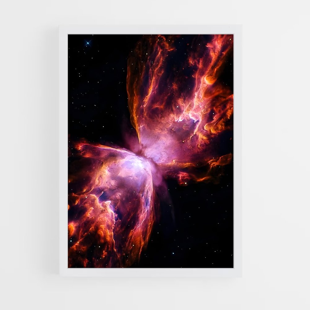 ap-butterfly nebula-1 cadre Blanc