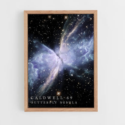ap-butterfly nebula-2 cadre Bois clair