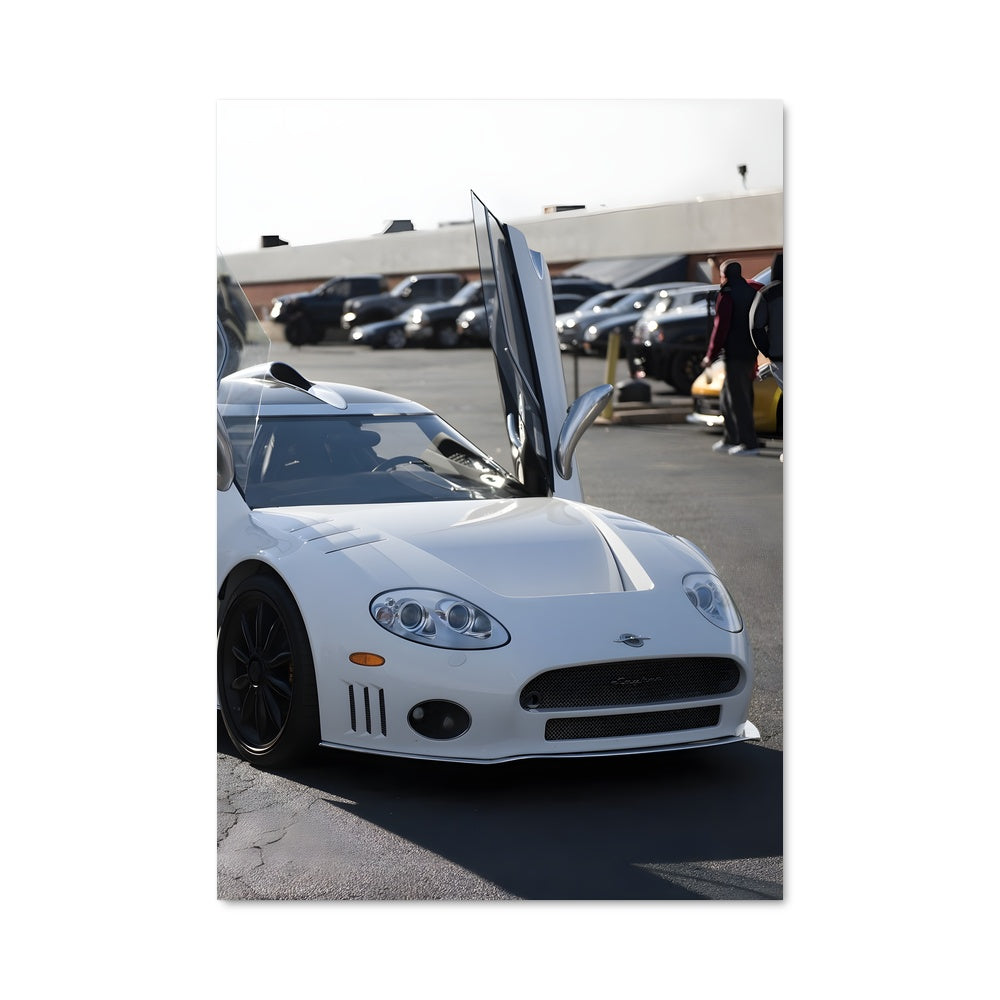 Poster C8 laviolette 79623