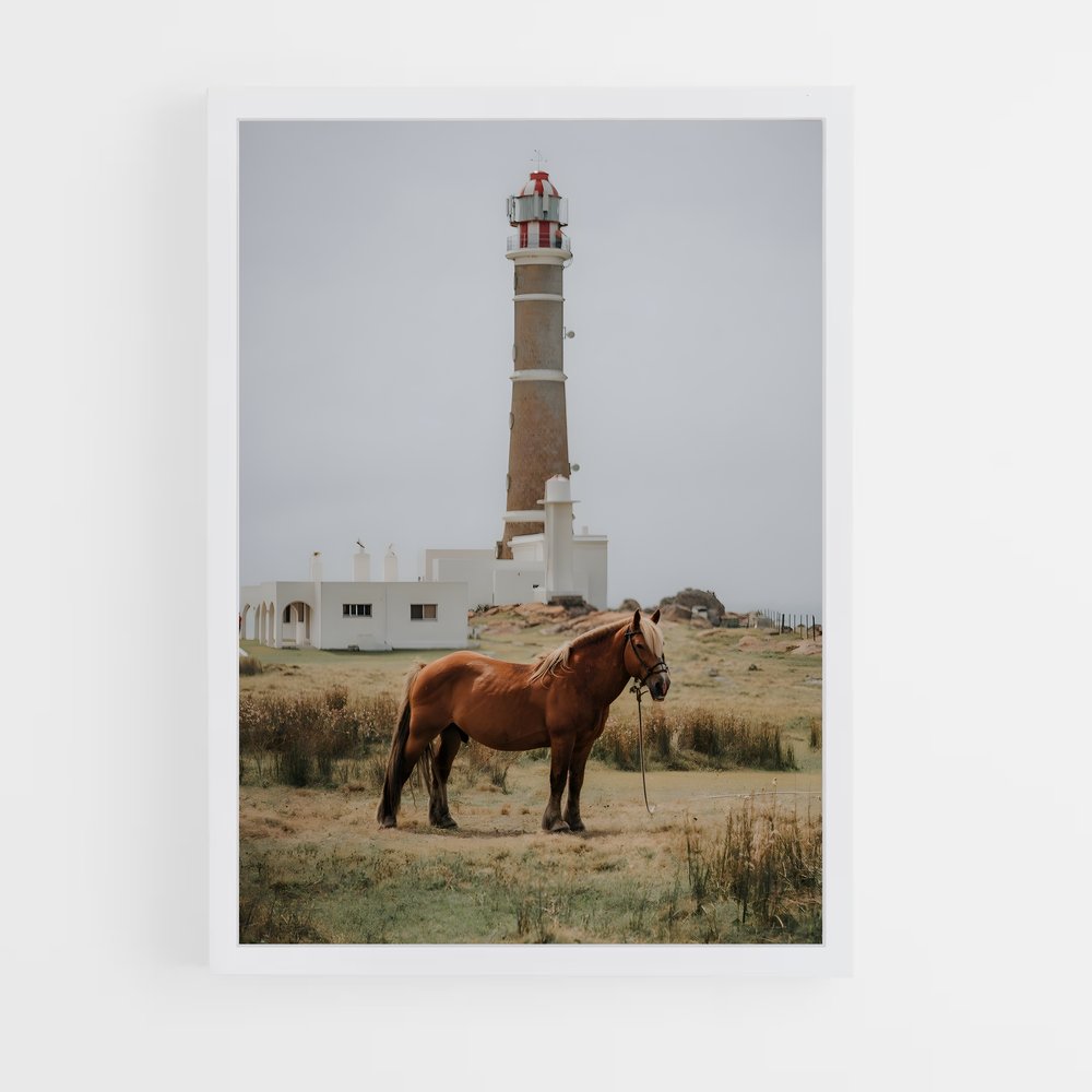 ap-cabo polonio-1 cadre Blanc