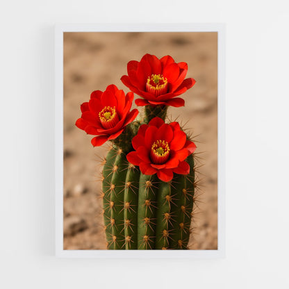 ap-cactus-2 cadre Blanc