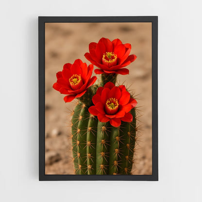 ap-cactus-2 cadre Noir