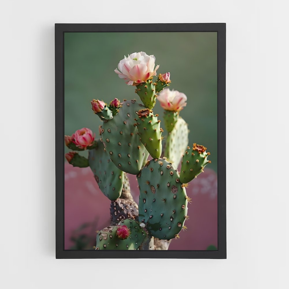 ap-cactus-4 cadre Noir