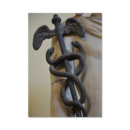 Poster Serpent de Médecine