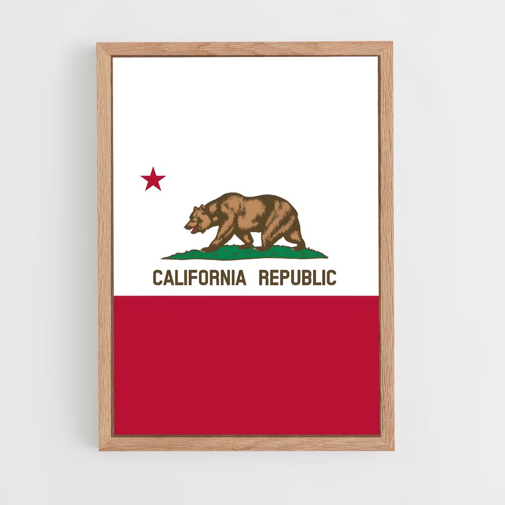 ap-california republic flag-1 cadre Bois clair