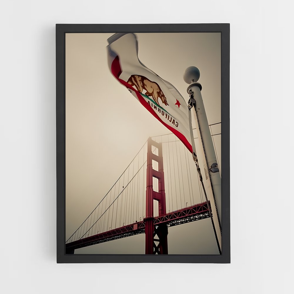 ap-california republic flag-2 cadre Noir