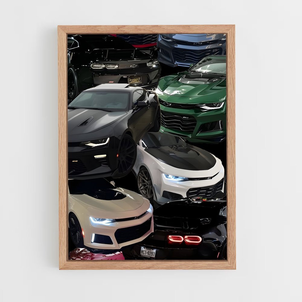 ap-camaro zl1-5 cadre Bois clair
