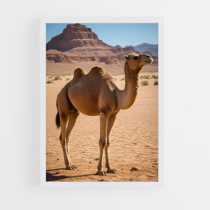 ap-camel-1 cadre Blanc
