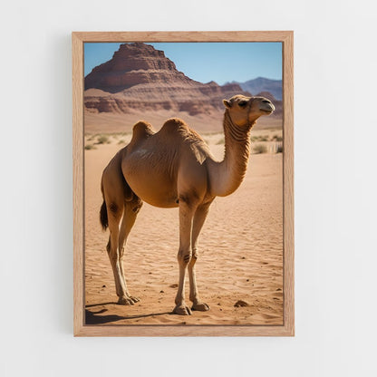 ap-camel-1 cadre Bois clair
