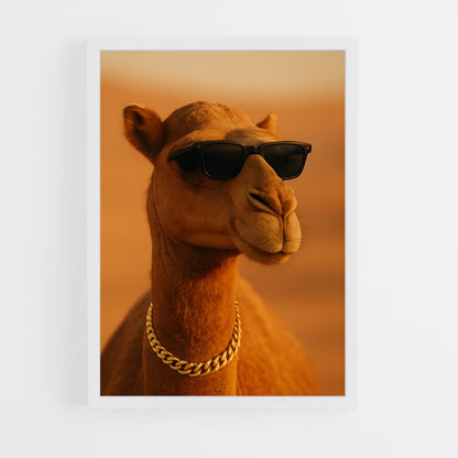 ap-camel-3 cadre Blanc