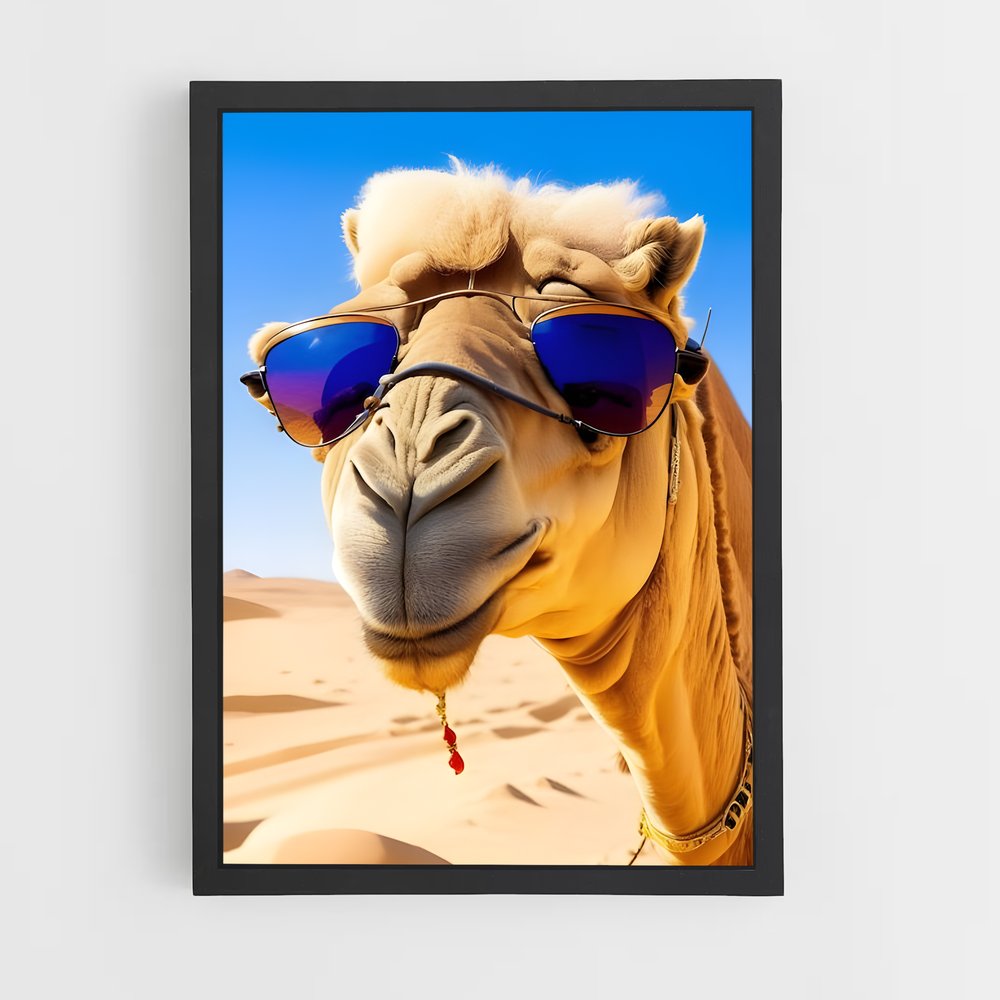 ap-camel-5 cadre Noir