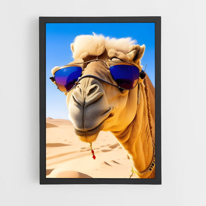 ap-camel-5 cadre Noir