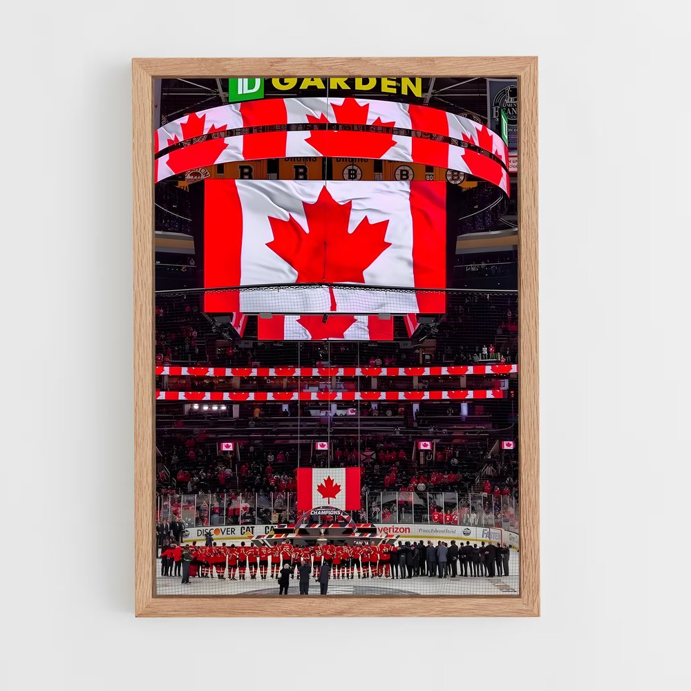 ap-canada national football team-3 cadre Bois clair