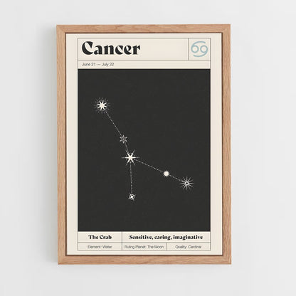 ap-cancer-1 cadre Bois clair