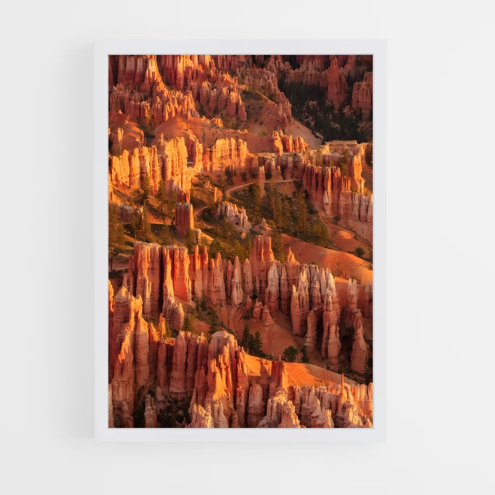 ap-canyon-3 cadre Blanc