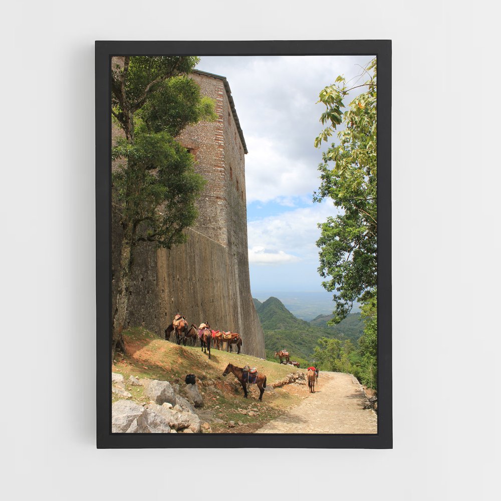 ap-cap haitien-1 cadre Noir