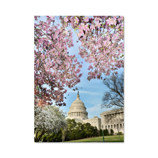 Poster Washington en Fleurs