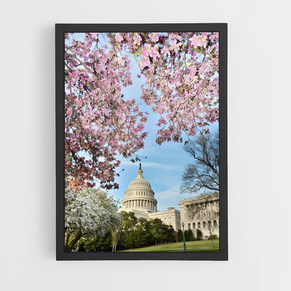 ap-capitol building-7 cadre Noir