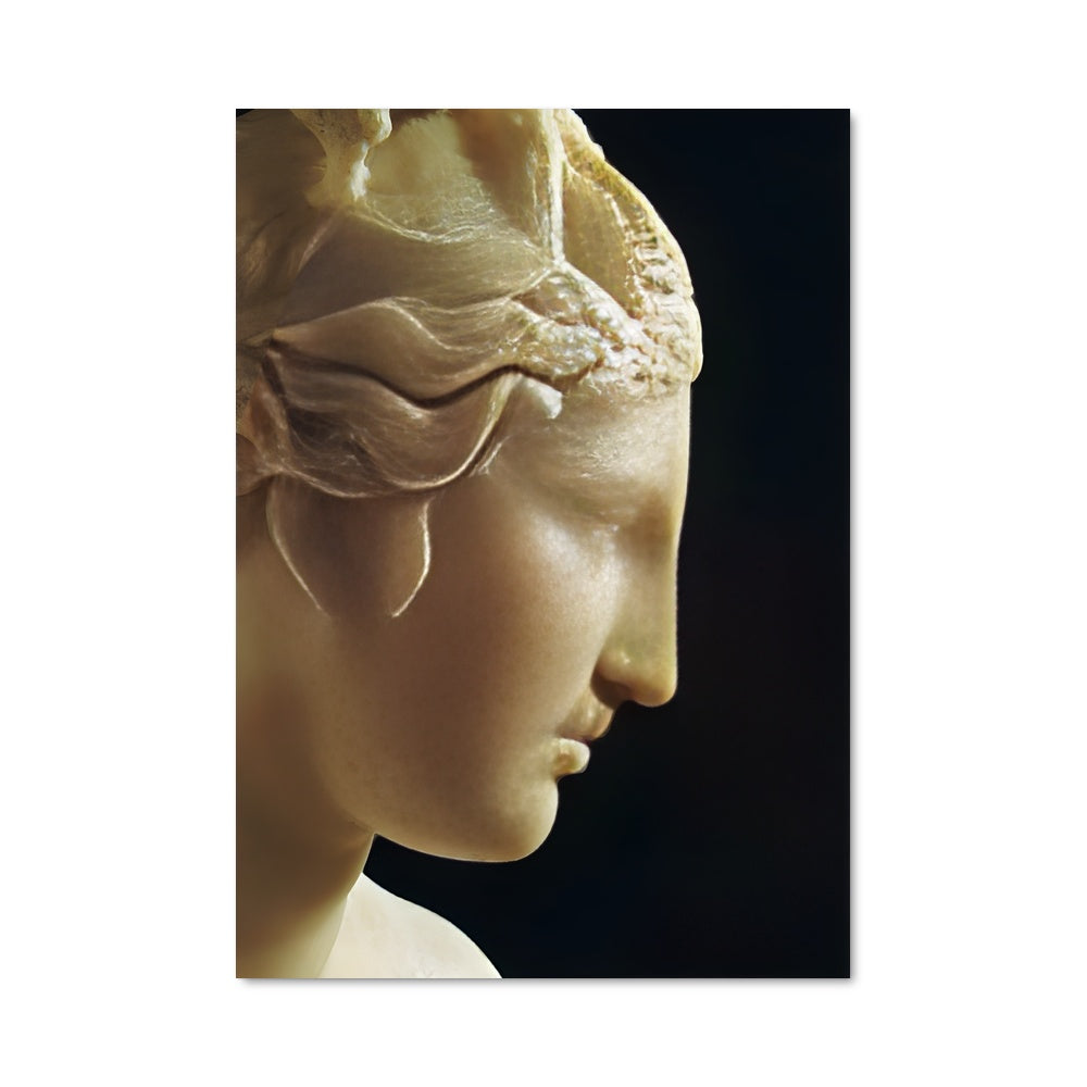 Poster Venus Élégante