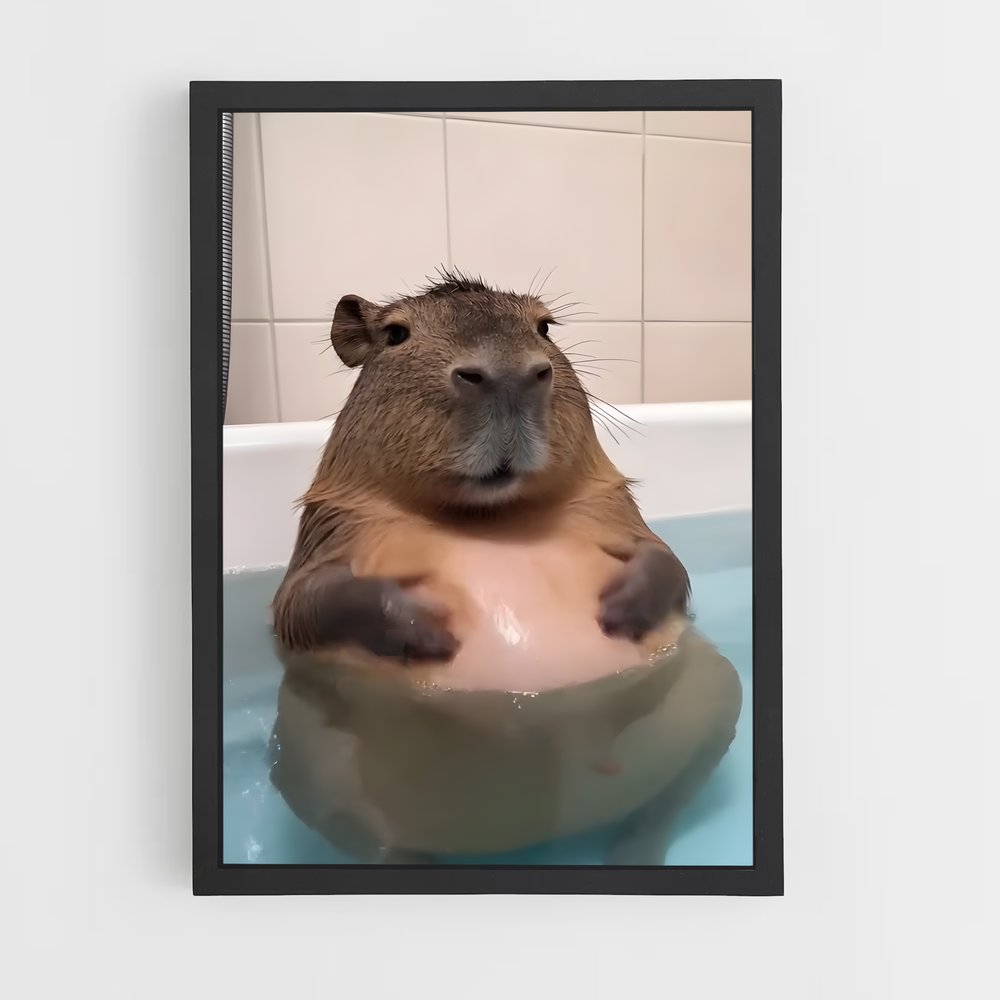 ap-capybara-2 cadre Noir