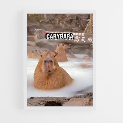 ap-capybara-4 cadre Blanc