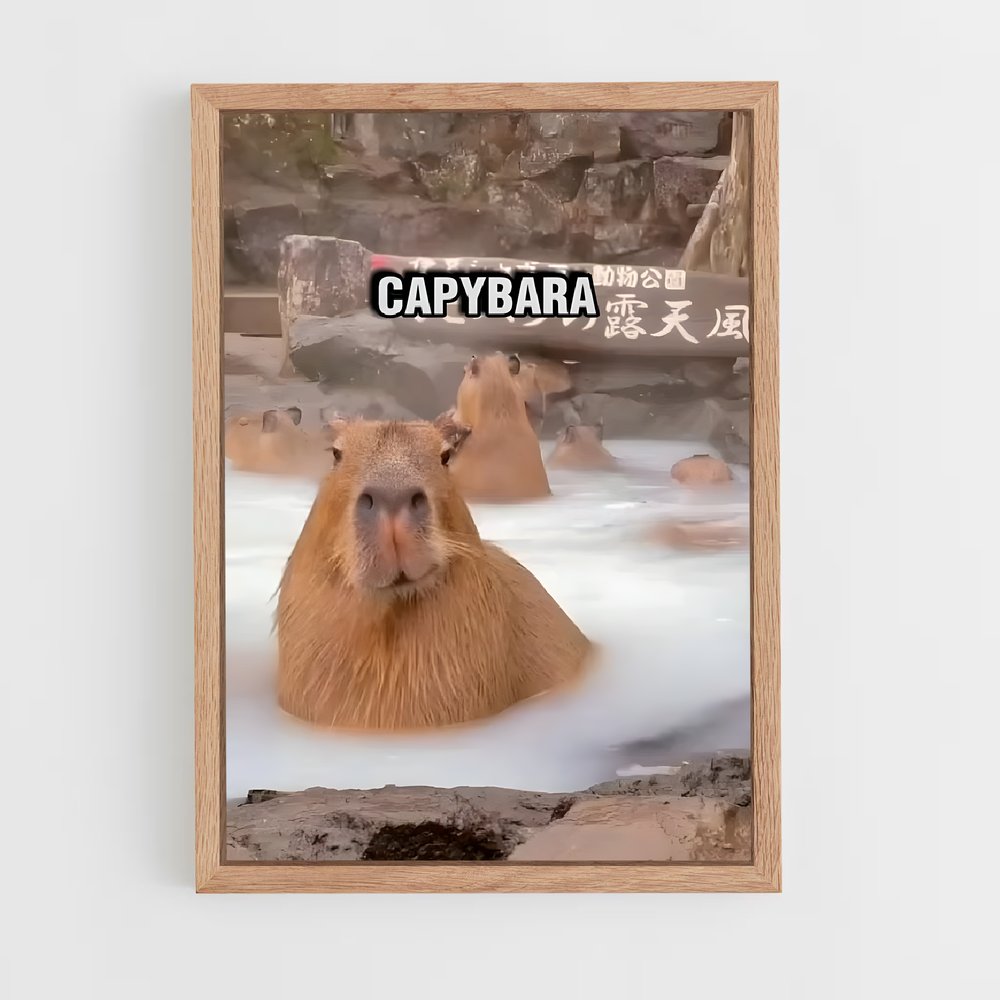 ap-capybara-4 cadre Bois clair